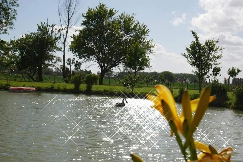 Gite Canard Fromelles Dış mekan fotoğraf