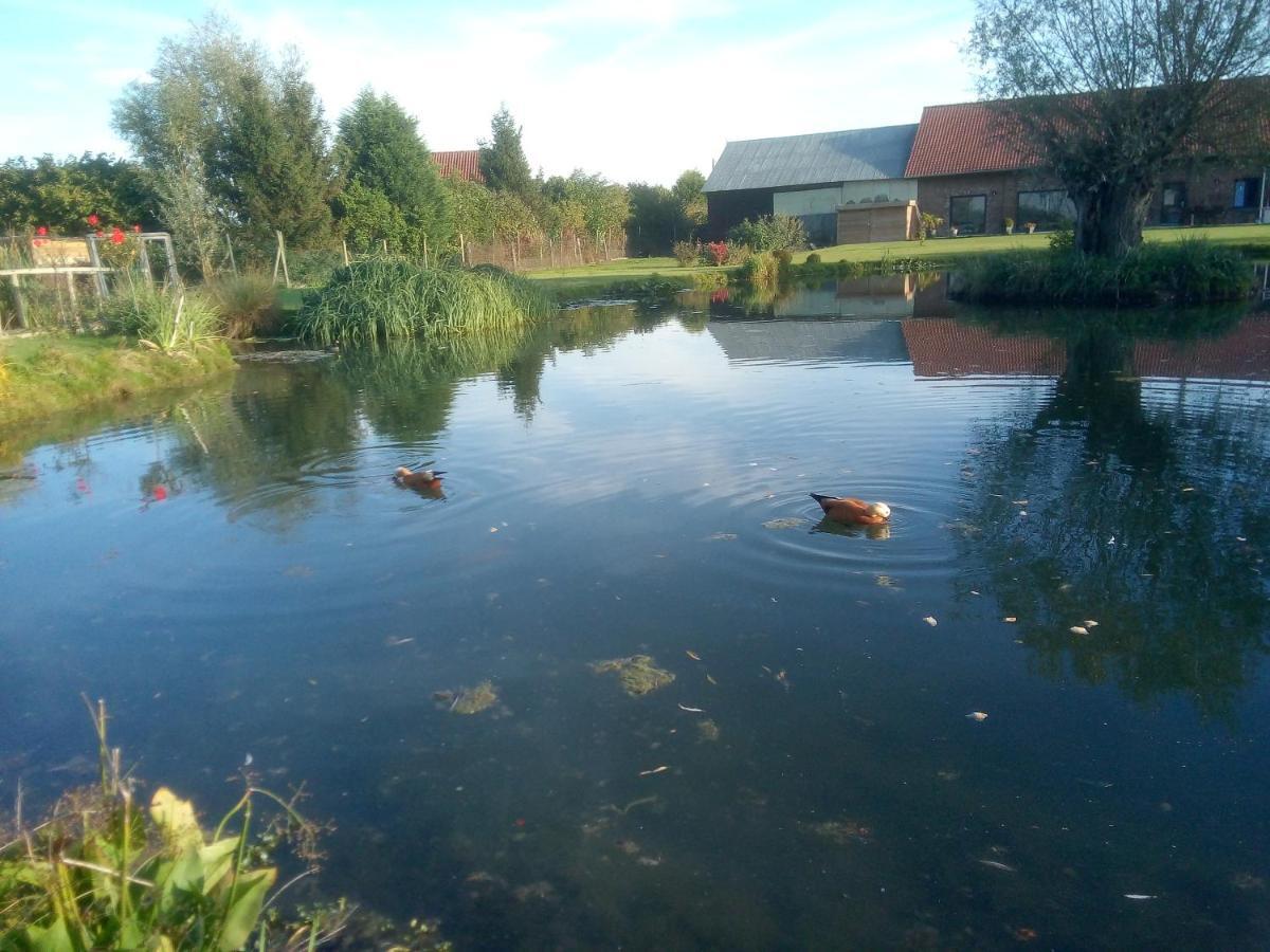 Gite Canard Fromelles Dış mekan fotoğraf