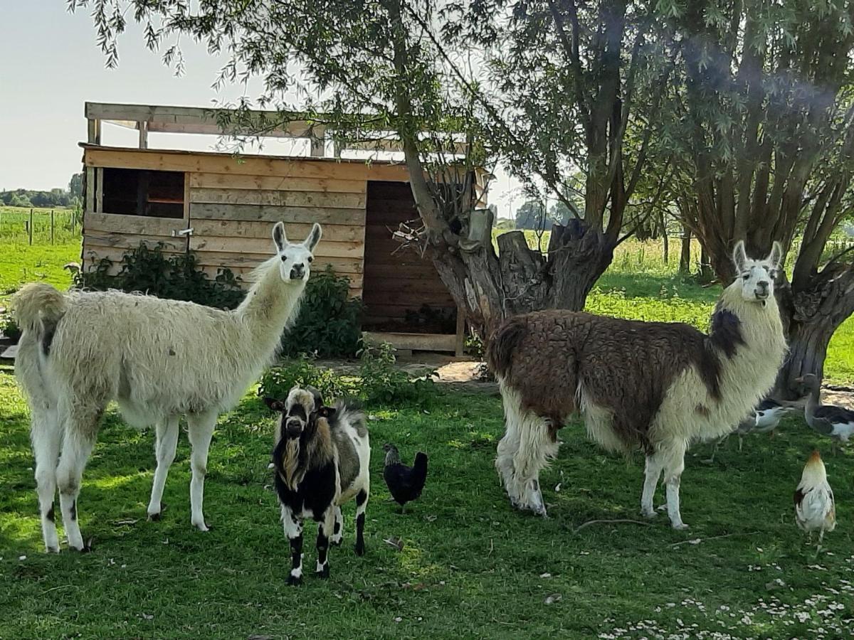 Gite Canard Fromelles Dış mekan fotoğraf